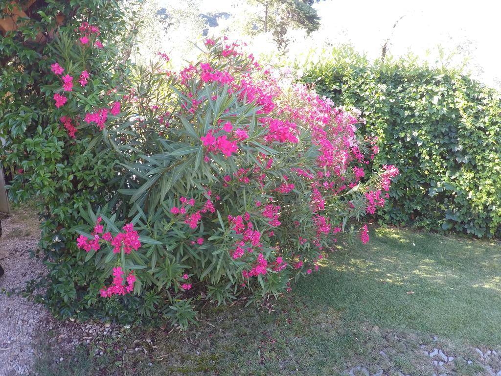 Casa Vacanza Malcesine Buitenkant foto